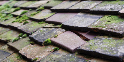 Wavendon roof repair costs